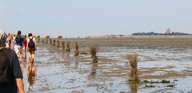 Blick auf Neuwerk Wattwanderung Neuwerk - inklusive Bahnfahrt
