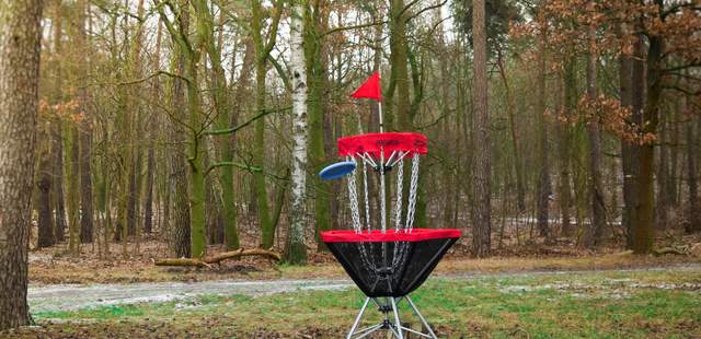 Disc Golf Disc Golf