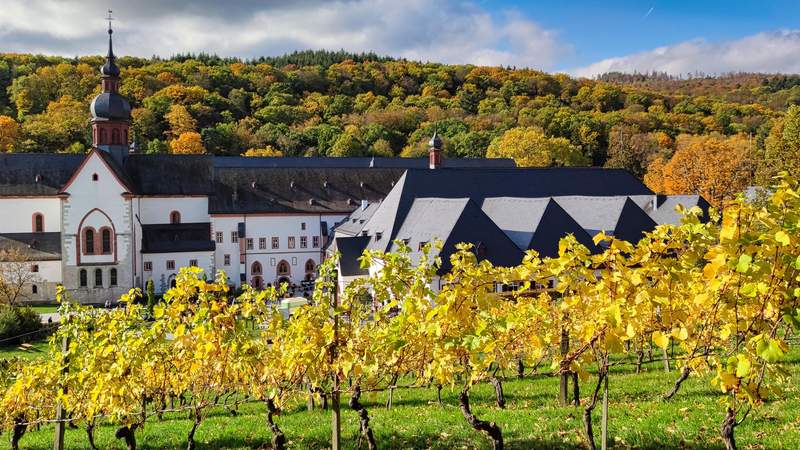 Kloster im Rheingau