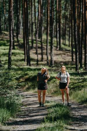 Tourismusverband Spreewald