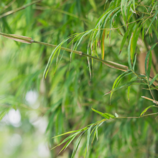 Resilienztraining: Mental stark sein. Resilienztraining: Mental stark sein.