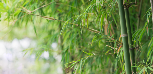 Resilienztraining: Mental stark sein. Resilienztraining: Mental stark sein.