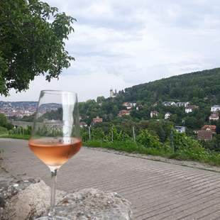 Weinbergsrallye mit Verkostung