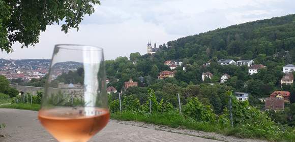 Weinbergsrallye mit Verkostung