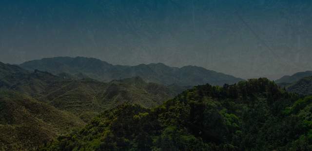 Titel Mission Axolotl Teamtraining