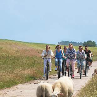 Gruppenreise nach Wangerland