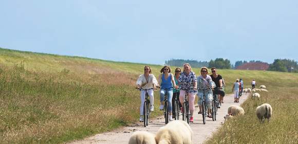 Gruppenreise nach Wangerland