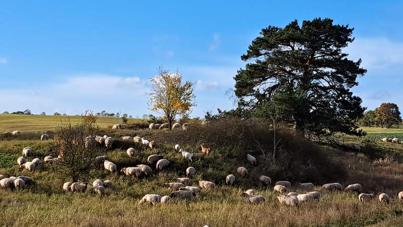 Teamentwicklung in der Natur