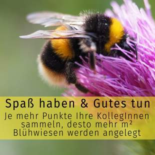 Ein Team Building Event, das für Artenschutz und -vielfalt sorgt Ein Team Building Event, das für Artenschutz und -vielfalt sorgt