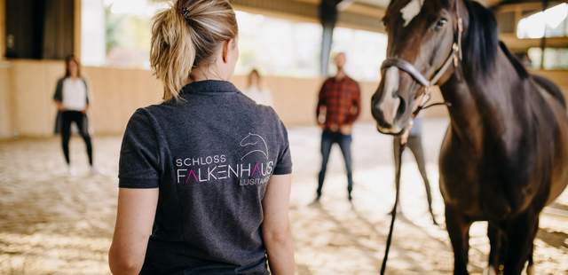 Pferdegestütztes Coaching Pferdegestützter Workshop