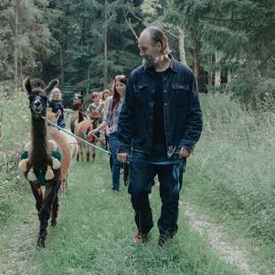 Wandern mit Lama Kasimir im Wald Teambuilding mit Alpakas & Lamas