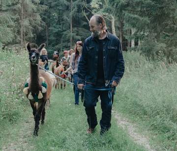 Wandern mit Lama Kasimir im Wald Teambuilding mit Alpakas & Lamas