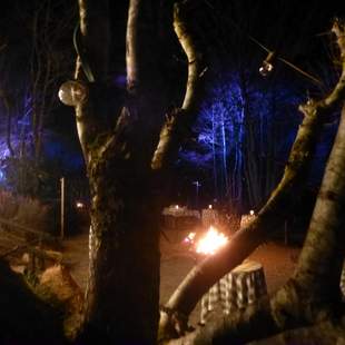 Christmas Special Christmas Special