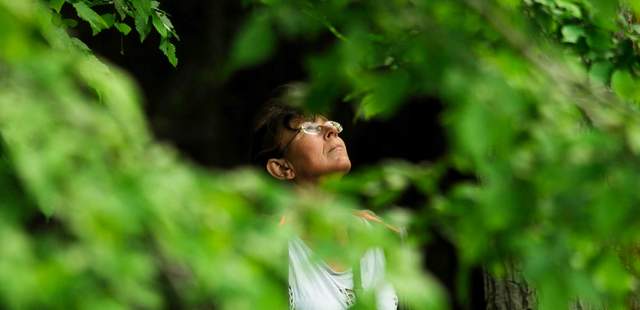 Ines Collmer Ines Collmer