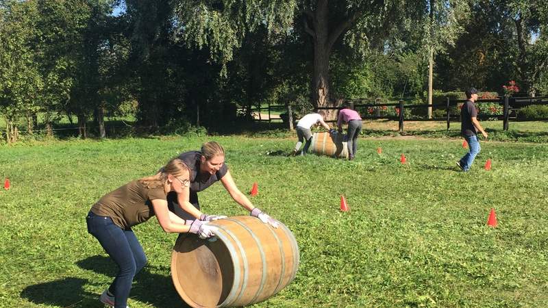 Weingutfest - Im Rheingau und Rheinhessen