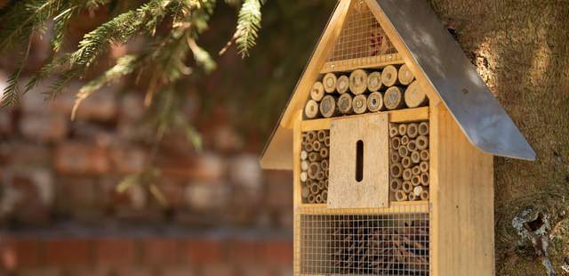 Insektenhotel bauen Insektenhotel bauen