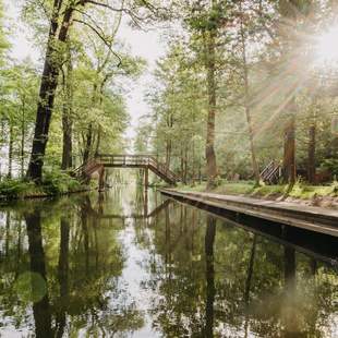 Tourismusverband Spreewald