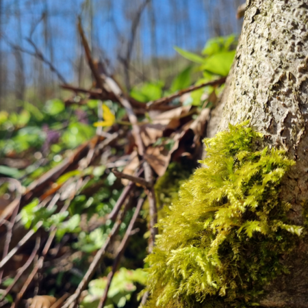 Entspannung in der Natur