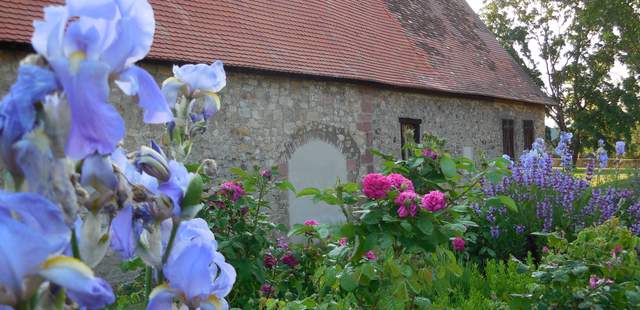 Klösterlicher Kräutergarten Rosensalbe und Hustensirup
