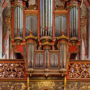 Organ concert with cocktail Privater Cocktail & Orgelkonzert | Straßburg