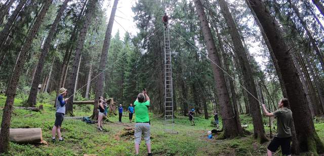 Wald-Seilgarten Wald-Seilgarten
