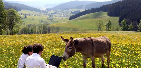 SCHWARZWALD-Tages-Seminarpauschale