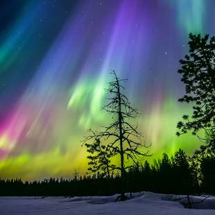 Nordlichter Nordic Unique Travels