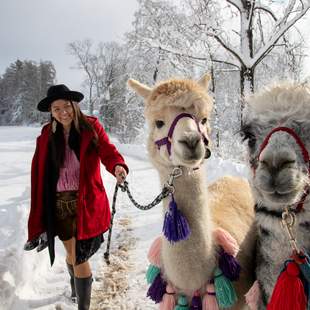 Glühweinwanderung mit Alpakas & Lamas Alpakawanderung im Winter