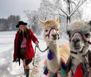 Glühweinwanderung mit Alpakas & Lamas Alpakawanderung im Winter