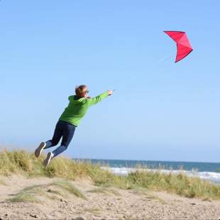 Flying Kite