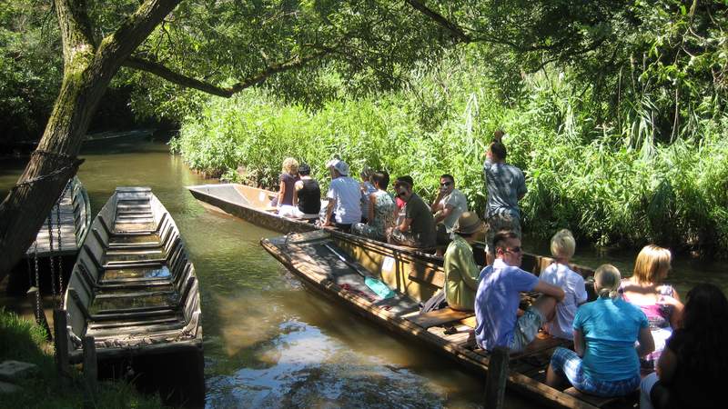 Die Urwaldtour mit Bootsfahrt und Wanderung