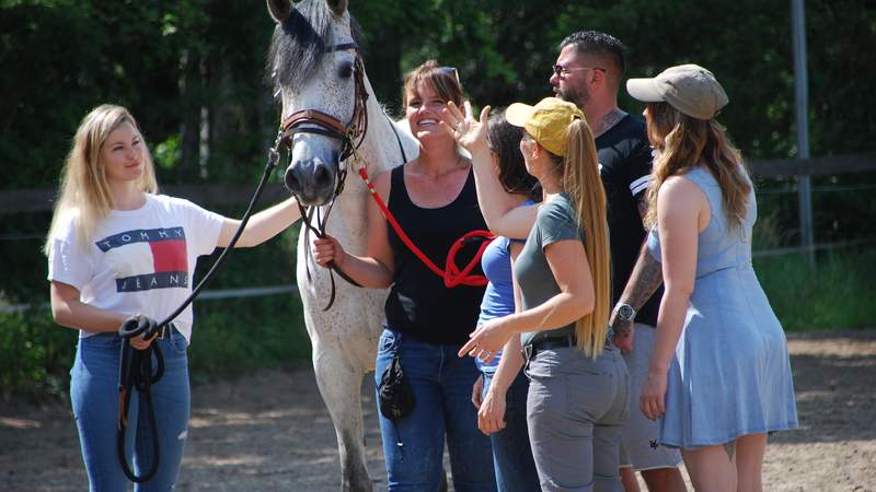 Gestüt Rüdnitz Teamevent mit Pferden