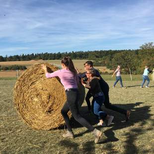 Bauernolympiade - Eine lustige Teamchallenge