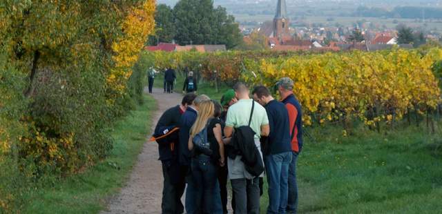 Wein GPS-Caching mit Weinverkostung Wein GPS-Caching mit Weinverkostung
