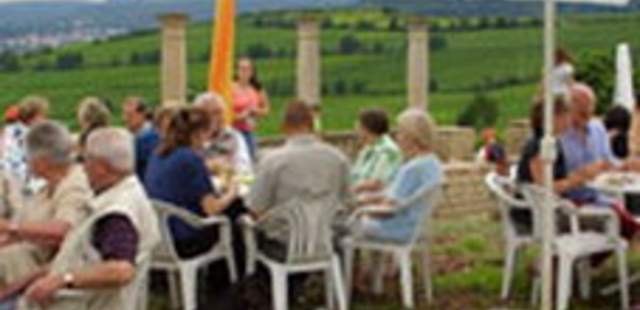 Weinlese - von der Rebe zum fertigen Wein Weinlese - von der Rebe zum fertigen Wein