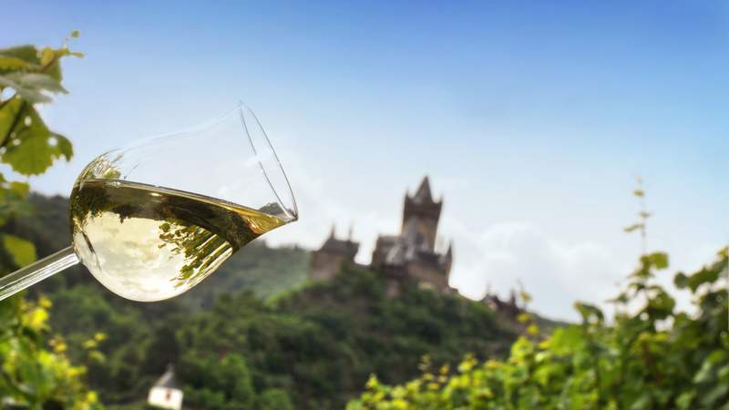 Wine & Work: Tagen an der Mosel-Treis-Karden