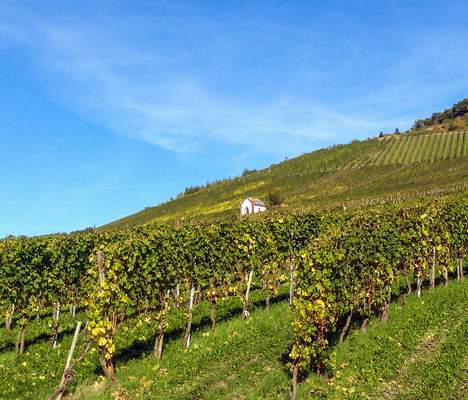 Betriebsausflug ins Hunsrück - Mosel - Rhein Hunsrück - Mosel - Rhein Betriebsausflug