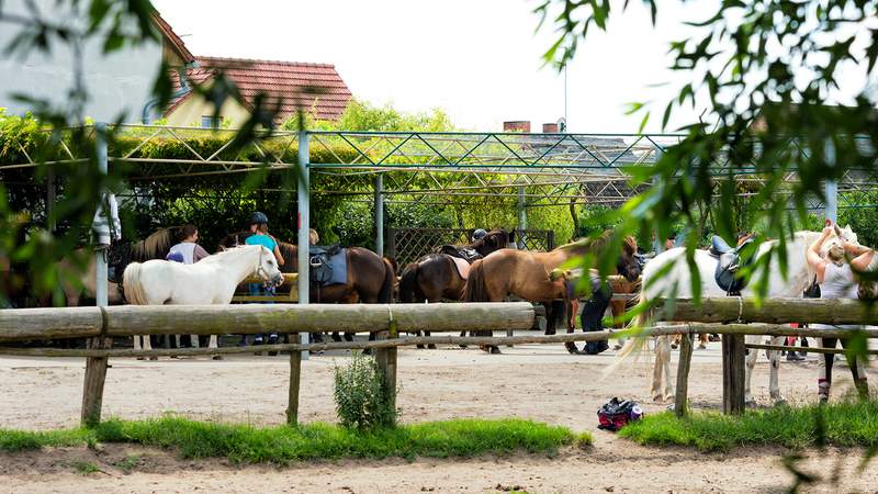 Reiter- und Erlebnisbauernhof Groß Briesen