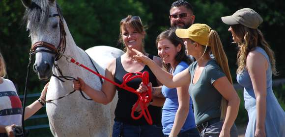 cap-teamevent mit pferden