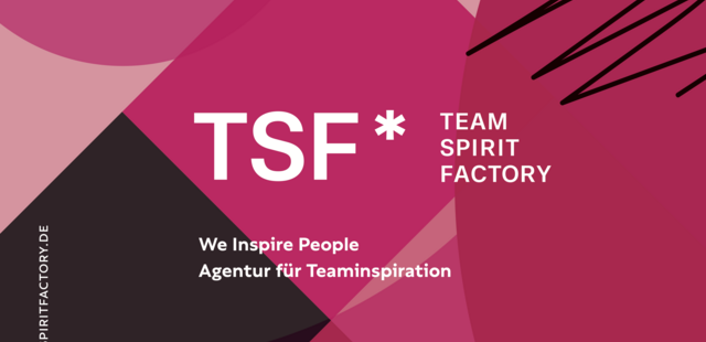 TSF* TEAM SPIRIT FACTORY TSF* TEAM SPIRIT FACTORY