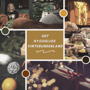 DET HYGGELIGE VINTERUNDERLAND WOWW! Events