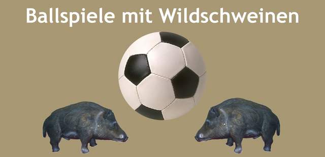 Ballspiele mit Wildschweinen Ballspiele mit Wildschweinen