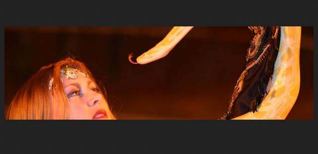 Schlangenshow Showhighlight für Ihr Event