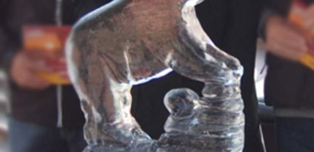 Eisbildhauer-Workshop Eisbildhauer-Workshop