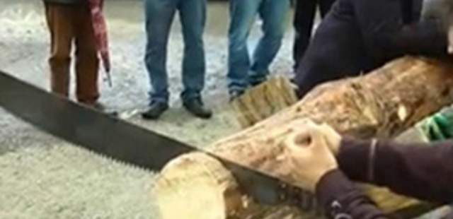 Holzfällerwettbewerb Holzfällerwettbewerb