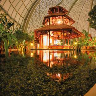 Aroi Dee Weihnachtsfeier im tropischen Ambiente