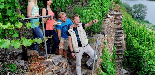 Wandern Weinerlebniswanderung Koblenz - Winningen