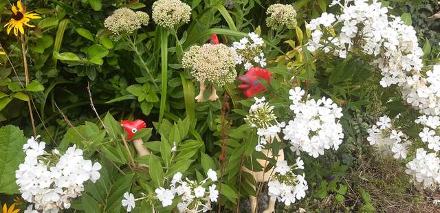 Huhn WaWi Das Huhn ist los!