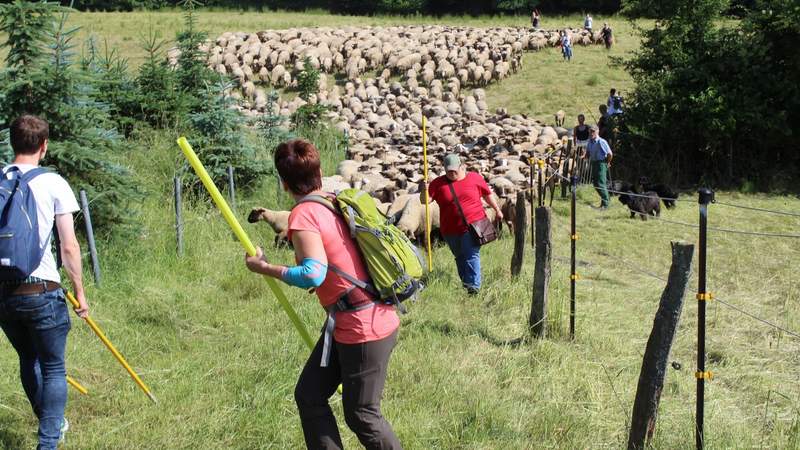 natuerlichteambuilding.de