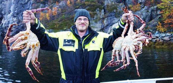 2-tägige King Crab Safari Norwegen